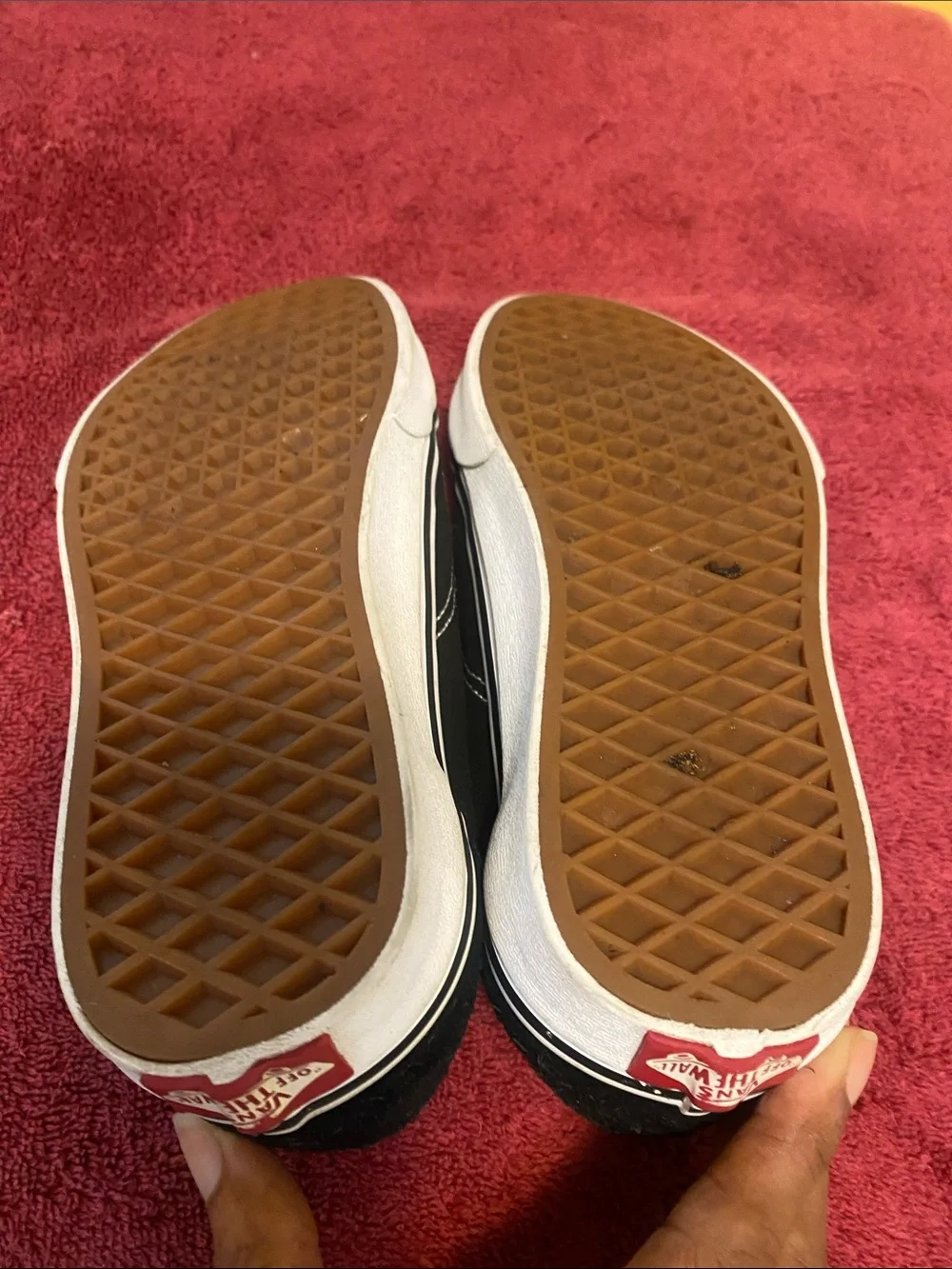 Vans Black and White Low-Top Skate Sneakers - Men's